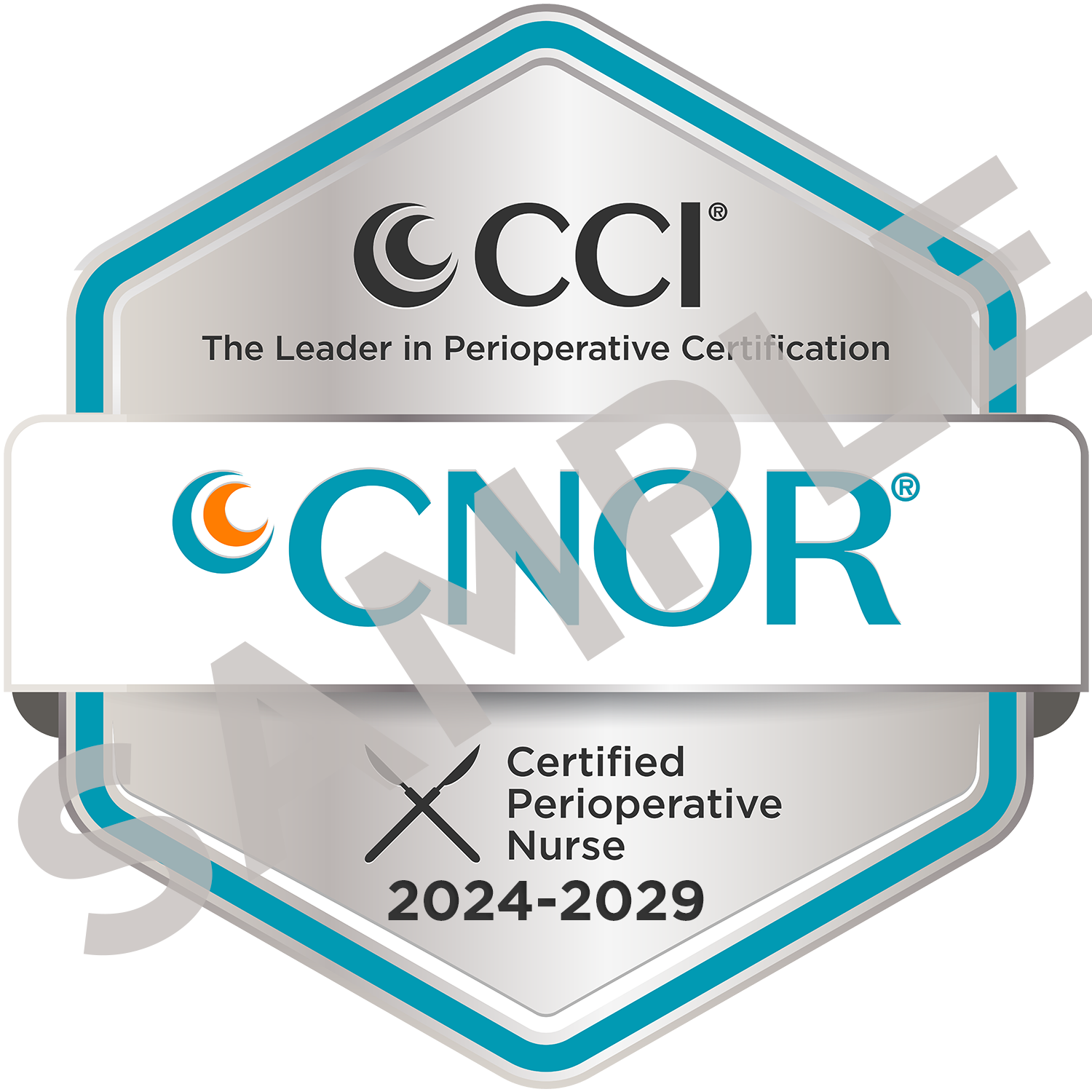 CNOR Digital Badge 2024 to 2029